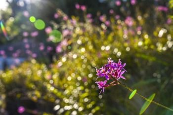 Ninderry Manor Luxury Retreat - Holiday Adelaide 13