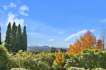 Silvermere - Holiday Adelaide 22