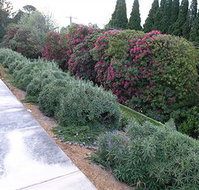 Silvermere - Holiday Adelaide