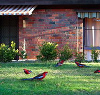 Crimson Villa - Holiday Adelaide