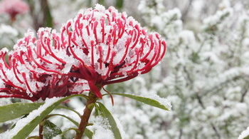 Valley Of The Waters B&B - Holiday Adelaide 12