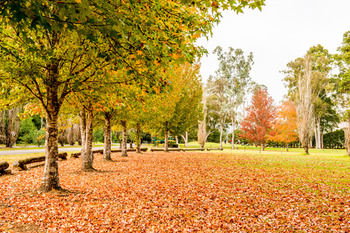 Retreat At Wisemans - Holiday Adelaide 12