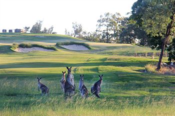 Riverside Oaks Golf Resort - Holiday Adelaide 1