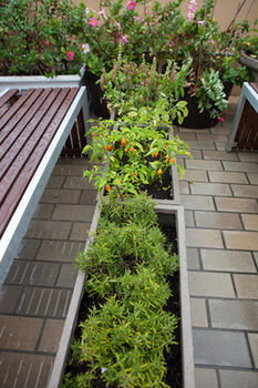 Eva's Backpackers - Holiday Adelaide 39