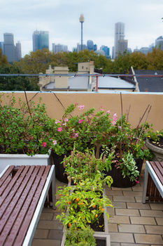 Eva's Backpackers - Holiday Adelaide 40