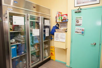 Eva's Backpackers - Holiday Adelaide 46