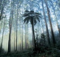 Tower Motel Marysville - Holiday Adelaide