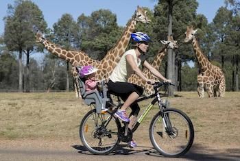 Zoofari Lodge, Taronga Western Plains Zoo - Holiday Adelaide 7