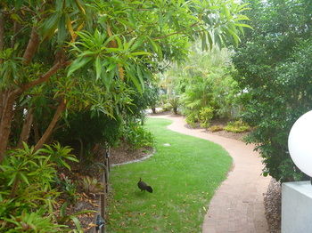 Chez Noosa Resort Motel - Holiday Adelaide 21