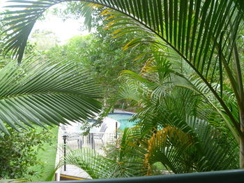Chez Noosa Resort Motel - Holiday Adelaide 29