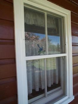 Aaron Cottage - Holiday Adelaide 1