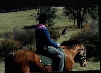 Hill Top Country Guest House - Holiday Adelaide 4