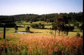 Hill Top Country Guest House - Holiday Adelaide 10