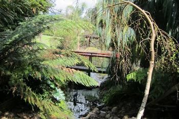 Cherryblossom B&B - Holiday Adelaide 5