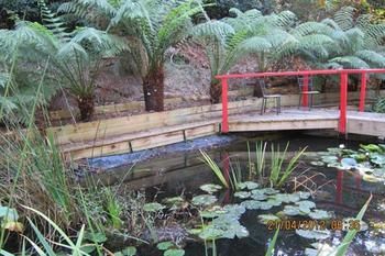 Cherryblossom B&B - Holiday Adelaide 7