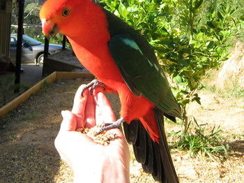 Cherryblossom B&B - Holiday Adelaide 22