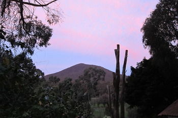Cherryblossom B&B - Holiday Adelaide 35