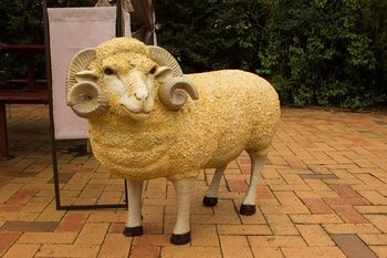 Shearing Shed Motor Inn - Holiday Adelaide 49