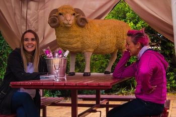 Shearing Shed Motor Inn - Holiday Adelaide 50