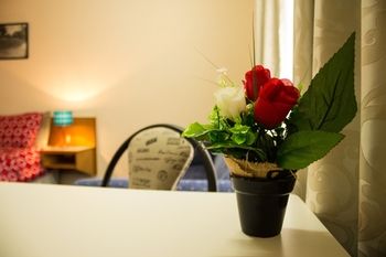 Shearing Shed Motor Inn - Holiday Adelaide 54