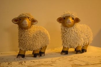 Shearing Shed Motor Inn - Holiday Adelaide 64