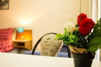 Shearing Shed Motor Inn - Holiday Adelaide 67