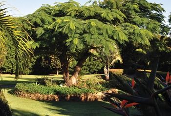 Peppertree Cottage - Holiday Adelaide 10