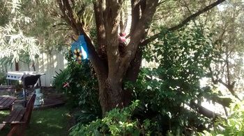 Centabrook Motor Inn - Holiday Adelaide 12