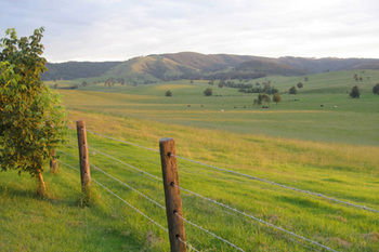 The Wattle Lodge - Holiday Adelaide 21