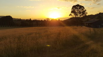 The Wattle Lodge - Holiday Adelaide 35