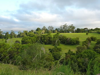 Bellthorpe Stays - Holiday Adelaide 34