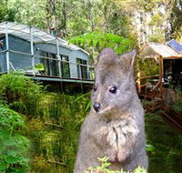 Huon Bush Retreats - Holiday Adelaide