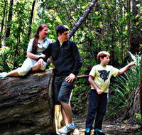 Tahune Airwalk Lodge - Holiday Adelaide