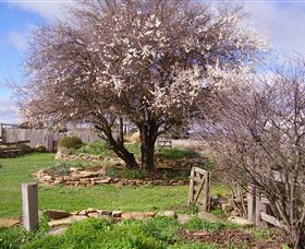 Lakeview Cottage - Holiday Adelaide 3