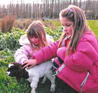 Huon Valley Caravan Park - Holiday Adelaide