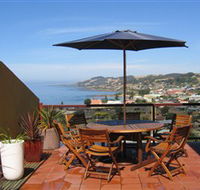 High On Penguin - Holiday Adelaide