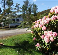 Zeehan Bush Camp  and Caravan Park - Holiday Adelaide