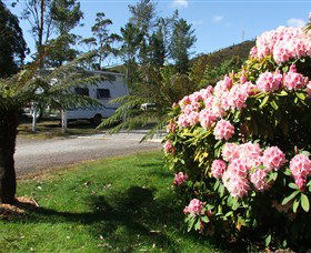 Zeehan Bush Camp  And Caravan Park - Holiday Adelaide 0