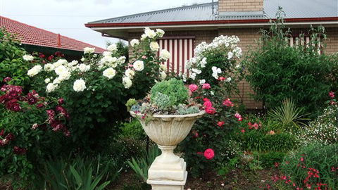 Admurraya House Bed And Breakfast - Holiday Adelaide 5