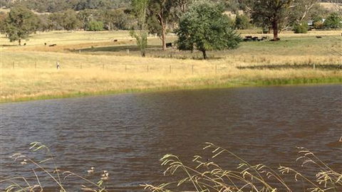 Black Horse Park - Holiday Adelaide 4