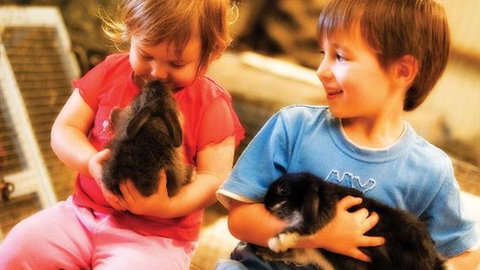 Macka's Farm - Holiday Adelaide 0