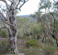 The Glen - Holiday Adelaide