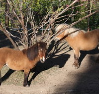 Cloud End Farmstay - Holiday Adelaide