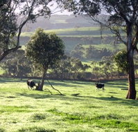 Bellevue Farmstay - Holiday Adelaide