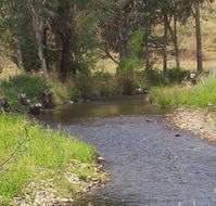 Murphy's Cabin - Holiday Adelaide