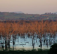 Salisbury - Holiday Adelaide