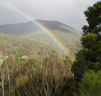 Wattletree Cottage - Holiday Adelaide