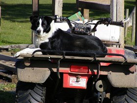 Breakaway Farmstay - Holiday Adelaide 3