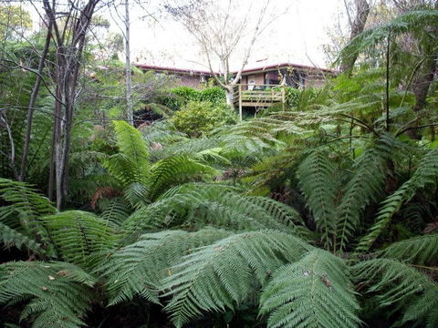 Adelaide Hills Bed & Breakfast Accommodation - Holiday Adelaide 3