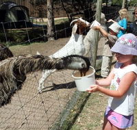BIG4 Bairnsdale Holiday Park - Holiday Adelaide